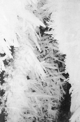 Crystallizations II Andrea Soler
